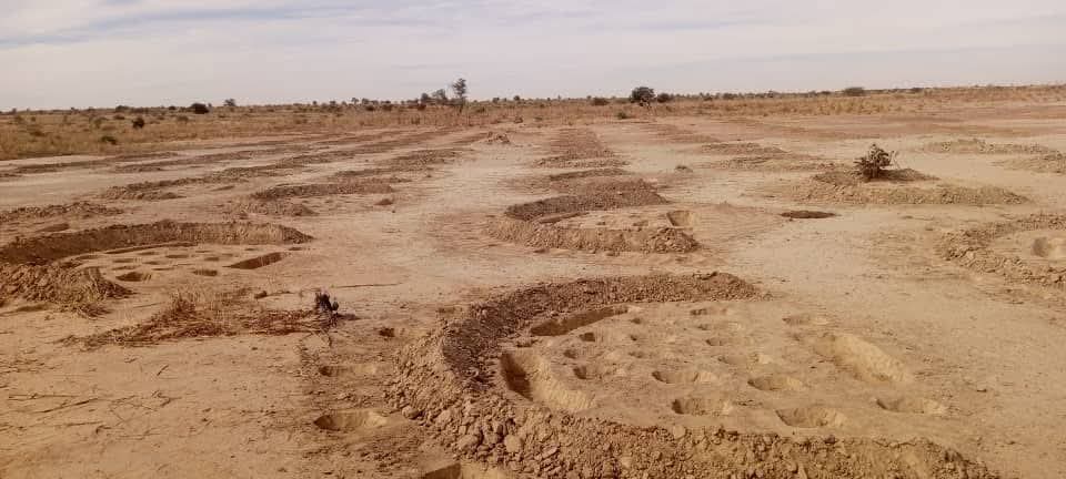 Gestion durable des terres