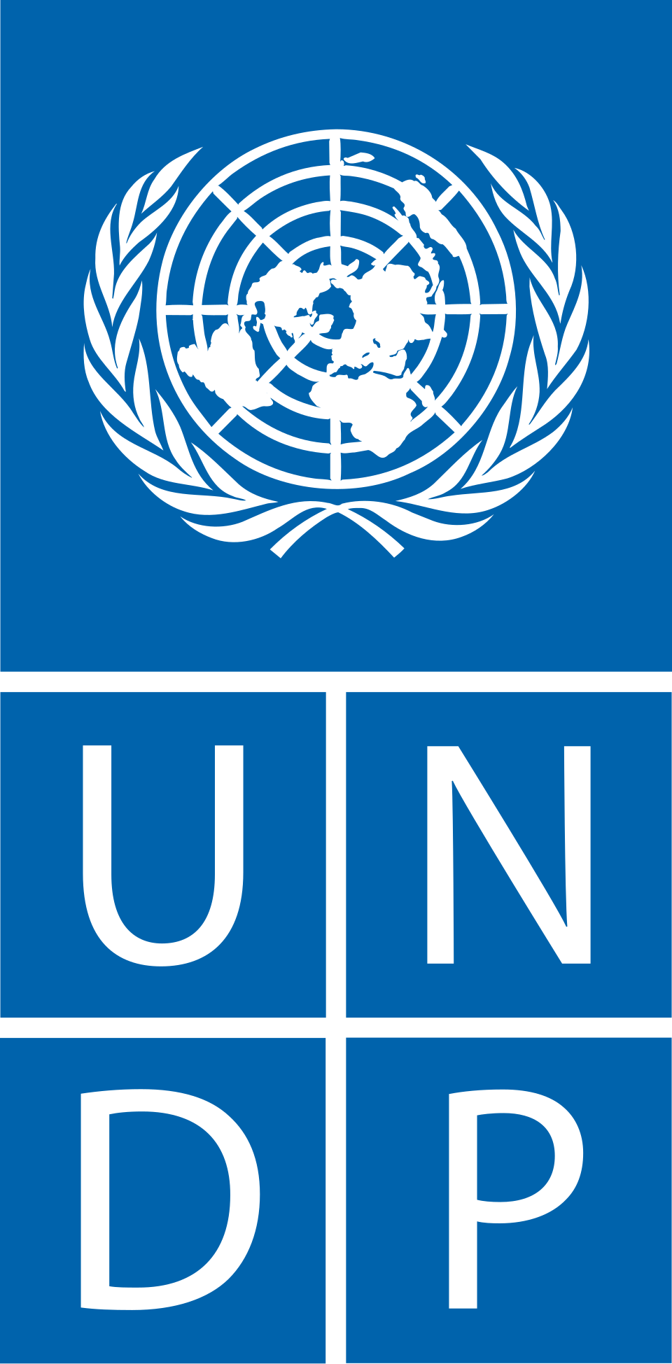 Programme des Nations Unies pour le Développement (PNUD)