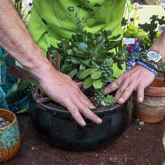 Programme intégré de résilience et nutrition – PRODAF