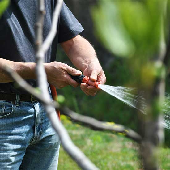 Programme PAM – Assistance alimentaire et transferts